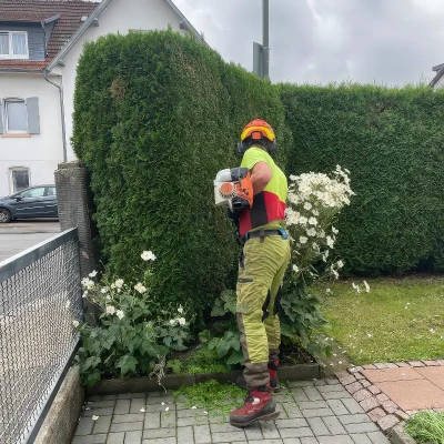 Heckenschnitt Schwarzach am Main